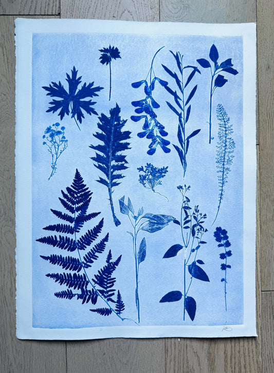 Herbaceous Forms: Field Study in Variation and Pattern, 18x24 inch Original Monoprint lintonart