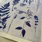Herbaceous Forms: Field Study in Variation and Pattern, 18x24 inch Original Monoprint lintonart