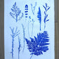 Herbarium Sheet – Field Sample Cluster, Original Botanical Monoprint, 18x24 inches lintonart