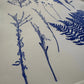 Herbarium Sheet – Field Sample Cluster, Original Botanical Monoprint, 18x24 inches lintonart