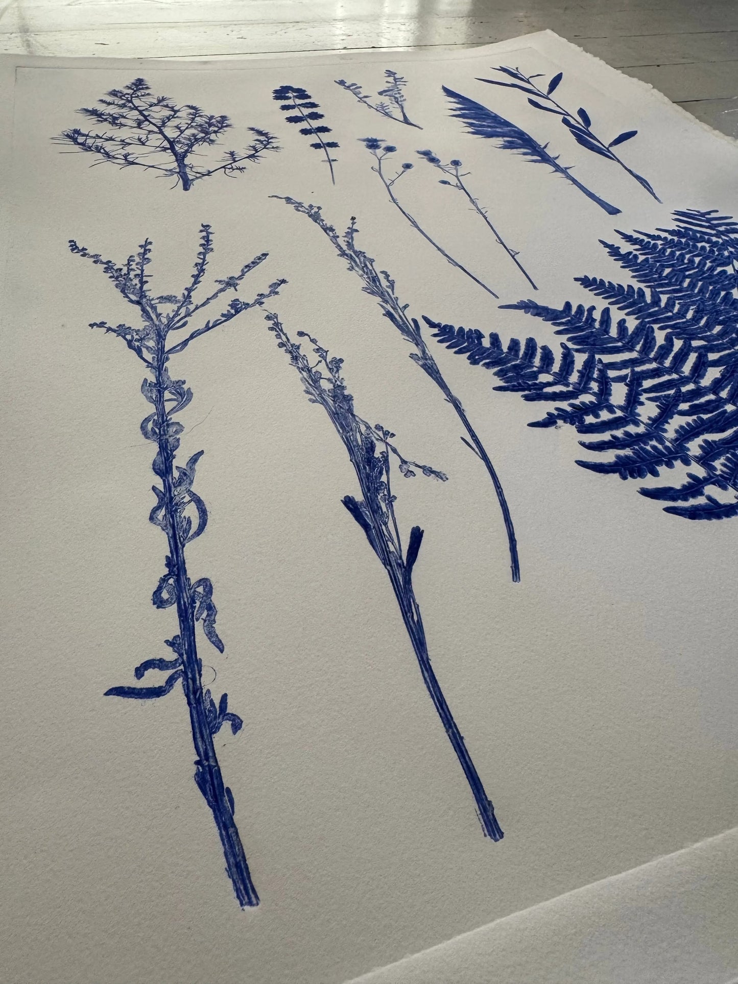 Herbarium Sheet – Field Sample Cluster, Original Botanical Monoprint, 18x24 inches lintonart