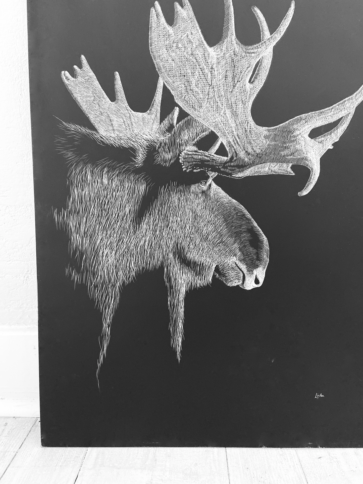 Bull Moose Animal Portrait, Etching
