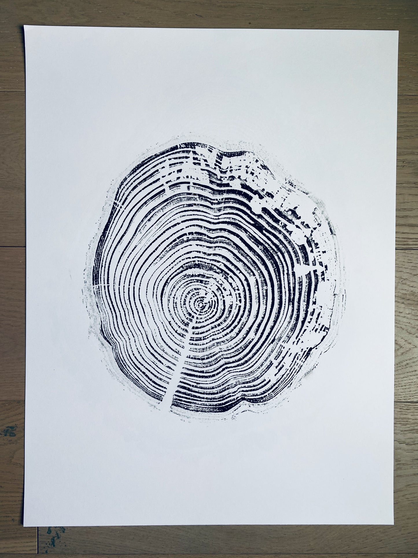 California Redwood, San Francisco, 30 years, 18x24 inch print, hand pressed print, tree ring art, wood slice, wedding tree, Woodcut print, by Erik Linton