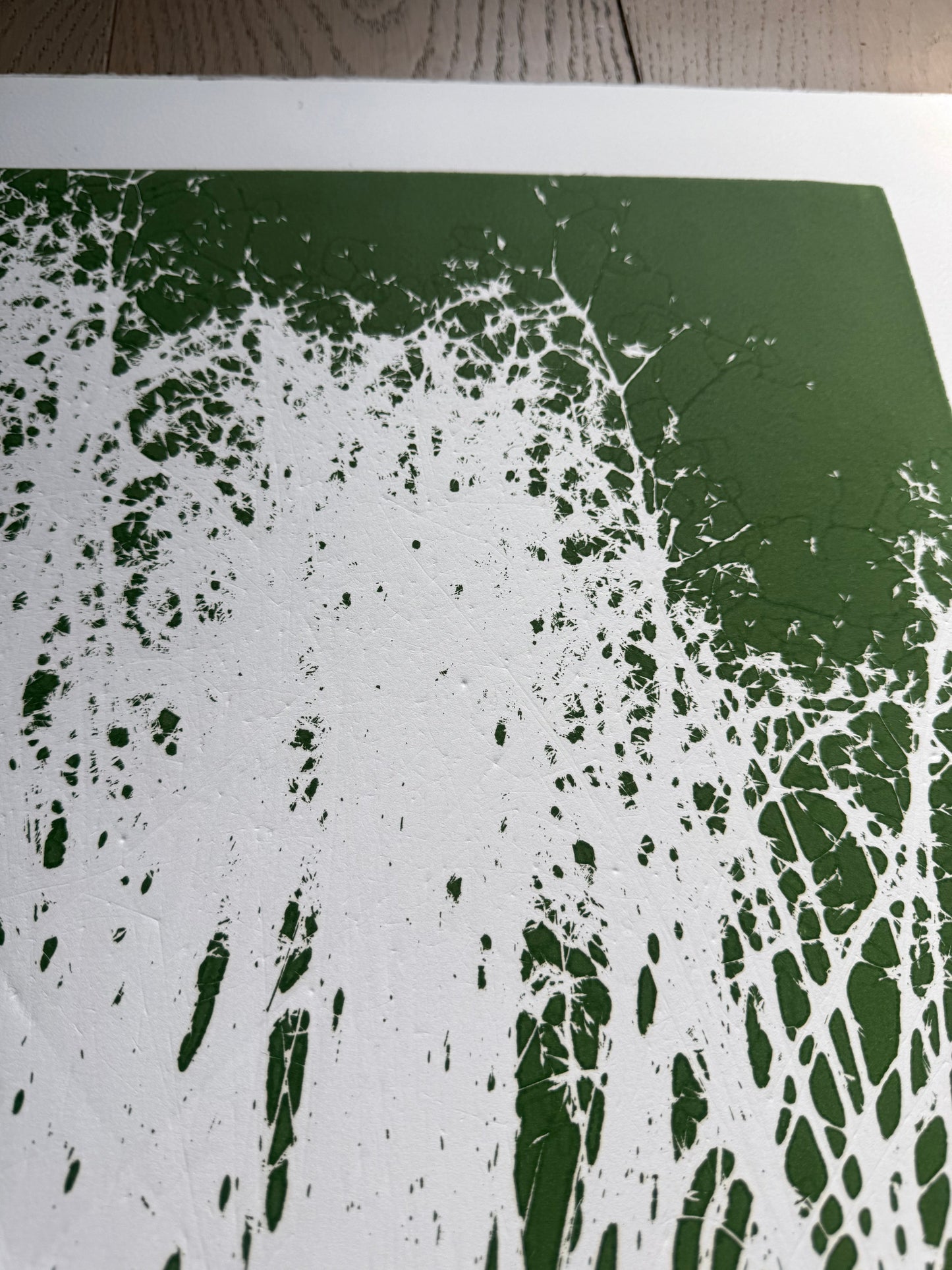 Indian Rice Grass, Original Monoprint, 20x26.5, Native Plants of Utah, Native Grass, O