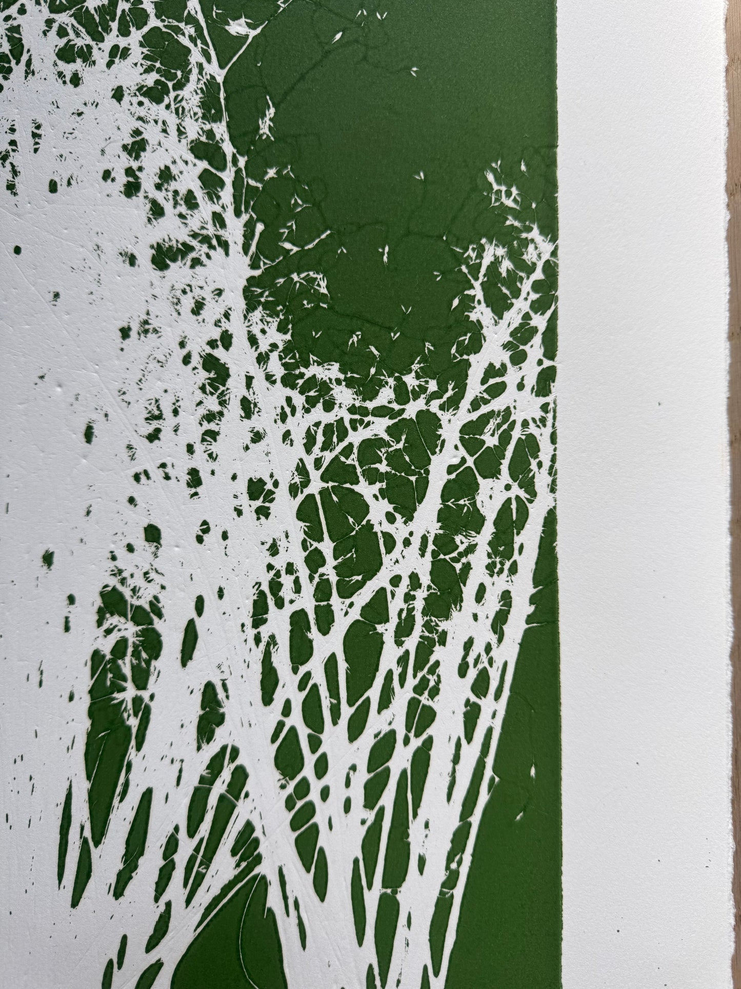 Indian Rice Grass, Original Monoprint, 20x26.5, Native Plants of Utah, Native Grass, O