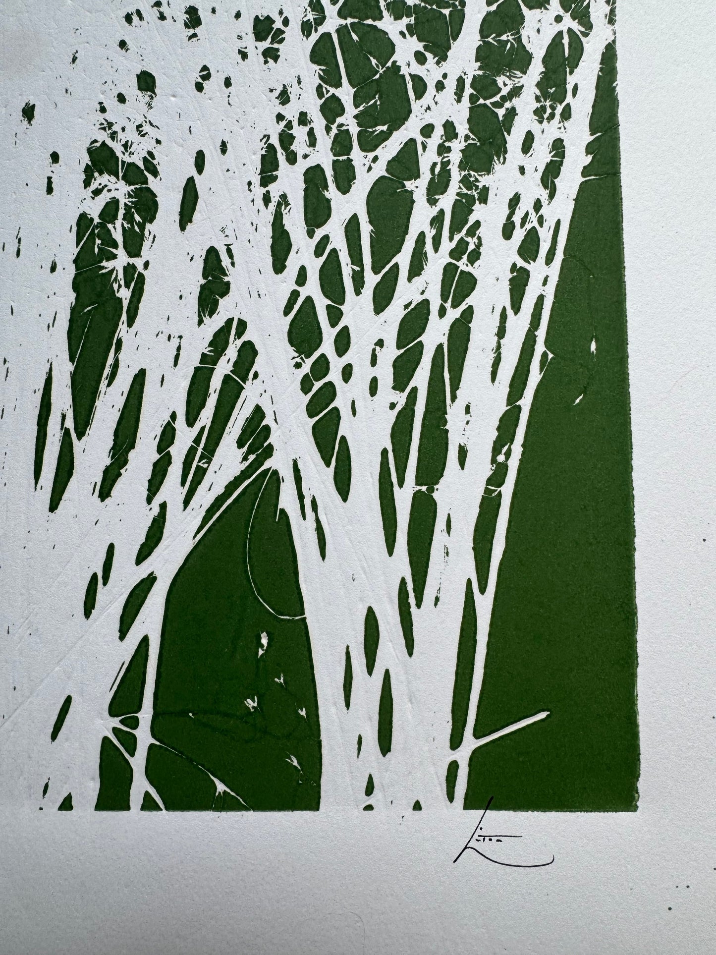 Indian Rice Grass, Original Monoprint, 20x26.5, Native Plants of Utah, Native Grass, O