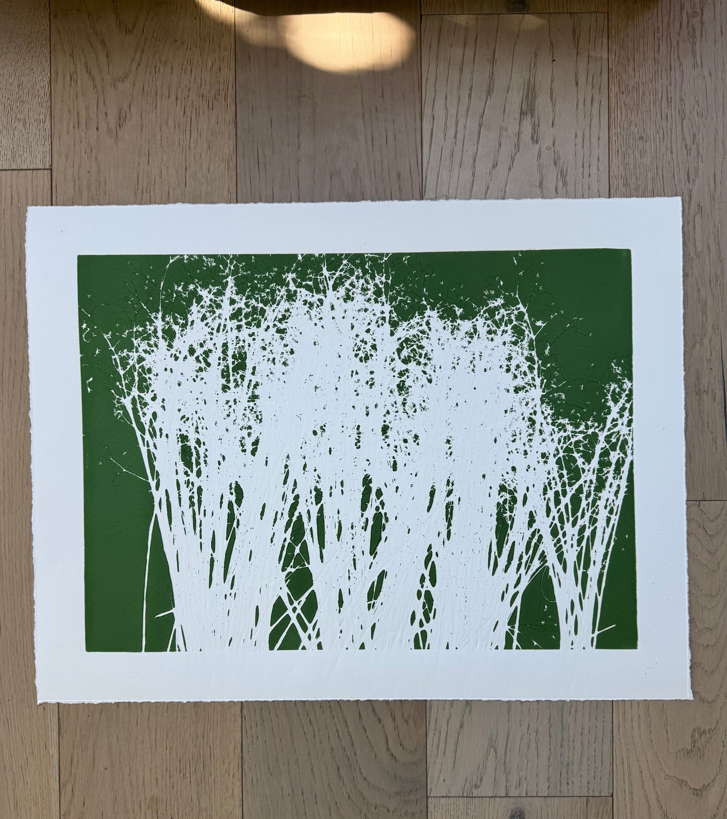 Indian Rice Grass, Original Monoprint, 20x26.5, Native Plants of Utah, Native Grass, O