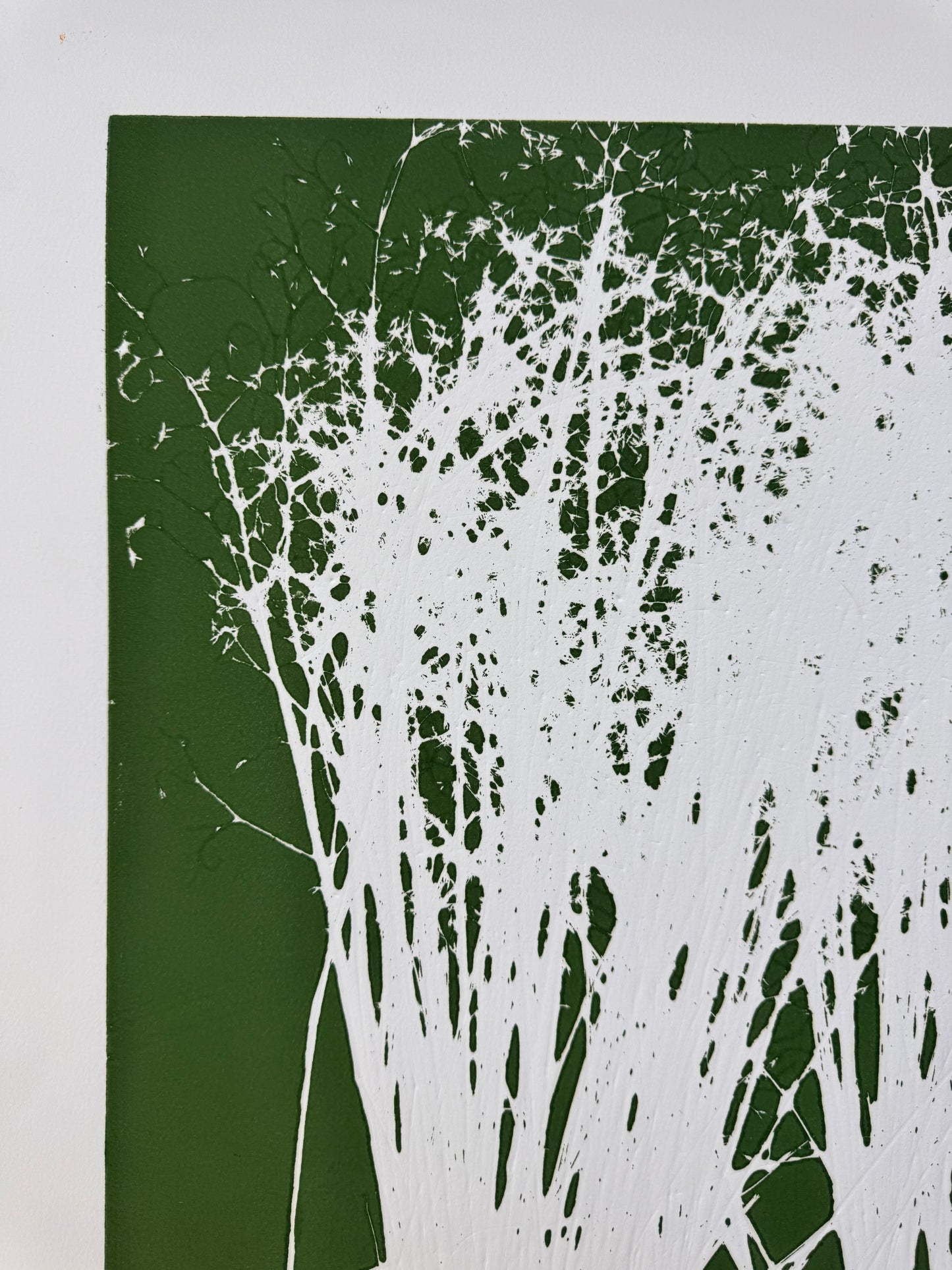 Indian Rice Grass, Original Monoprint, 20x26.5, Native Plants of Utah, Native Grass, O