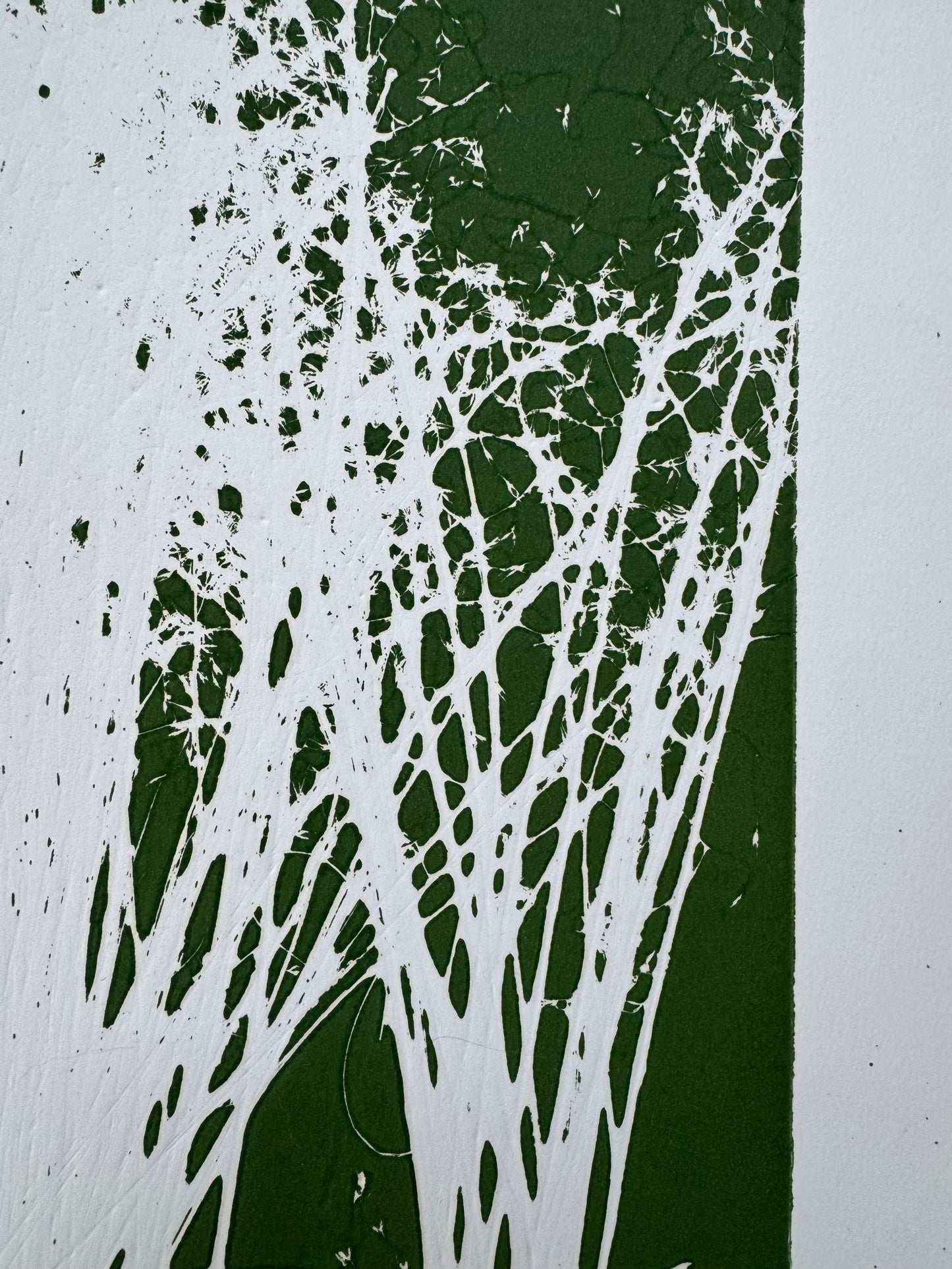 Indian Rice Grass, Original Monoprint, 20x26.5, Native Plants of Utah, Native Grass, O