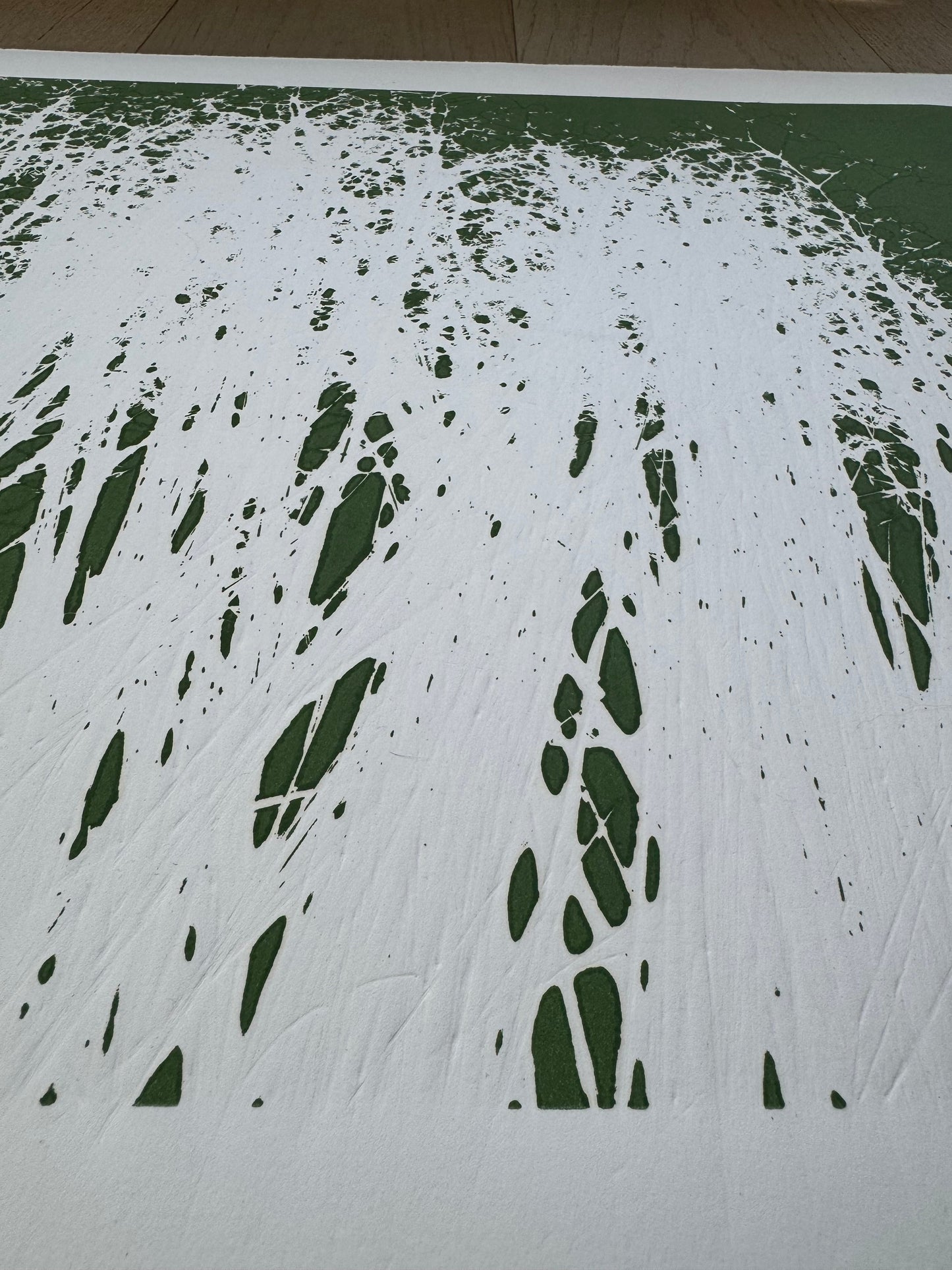 Indian Rice Grass, Original Monoprint, 20x26.5, Native Plants of Utah, Native Grass, O