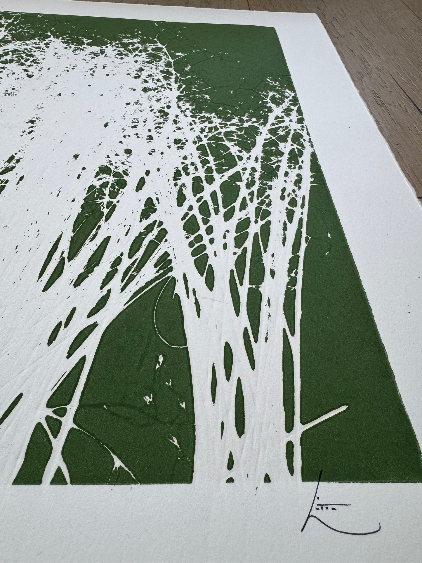 Indian Rice Grass, Original Monoprint, 20x26.5, Native Plants of Utah, Native Grass, O