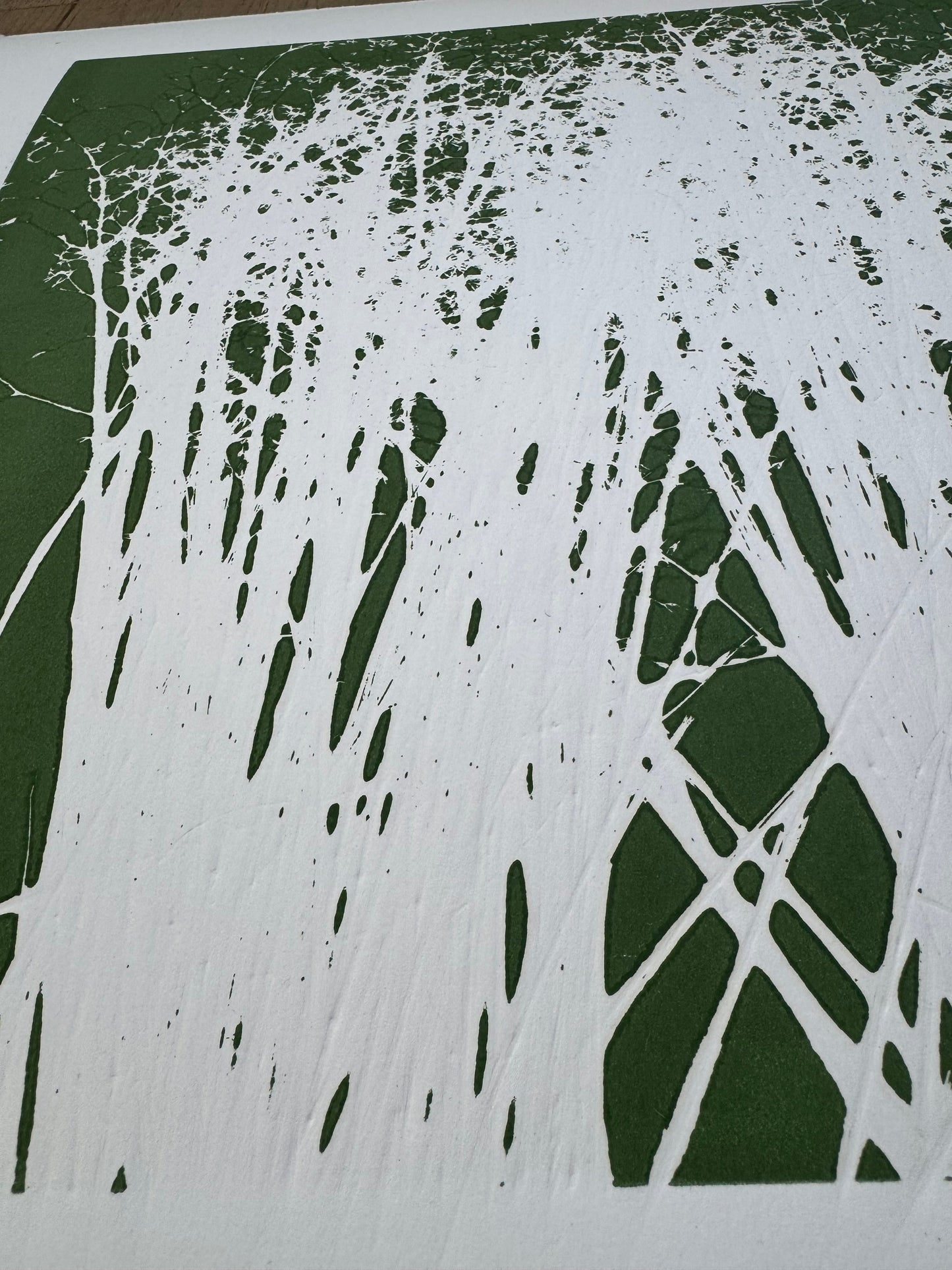 Indian Rice Grass, Original Monoprint, 20x26.5, Native Plants of Utah, Native Grass, O