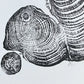 Irish Cypress, Tree Ring Art, 5x7 inches, Woodcut, woodblock print lintonart