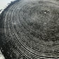 New Hampshire Ash, Sanbornton, Ash tree Art, Tree ring print, dendrology, nature inspired, Linton Art, Woodblock Print lintonart