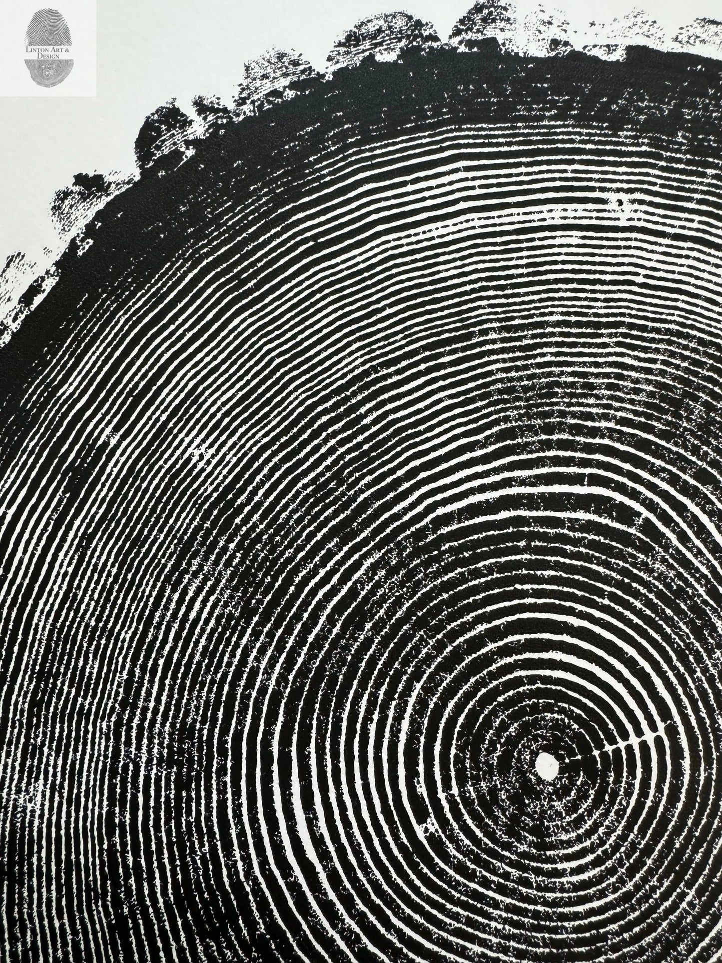 New Hampshire Ash, Sanbornton, Ash tree Art, Tree ring print, dendrology, nature inspired, Linton Art, Woodblock Print lintonart
