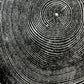 New Hampshire Ash, Sanbornton, Ash tree Art, Tree ring print, dendrology, nature inspired, Linton Art, Woodblock Print lintonart