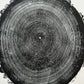 New Hampshire Ash, Sanbornton, Ash tree Art, Tree ring print, dendrology, nature inspired, Linton Art, Woodblock Print lintonart