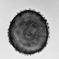 New Hampshire Ash, Sanbornton, Ash tree Art, Tree ring print, dendrology, nature inspired, Linton Art, Woodblock Print lintonart