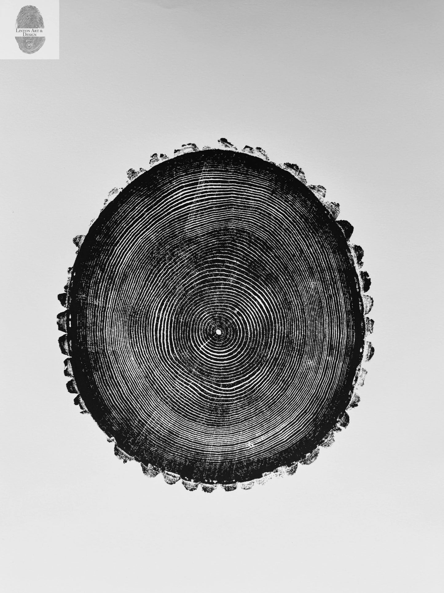 New Hampshire Ash, Sanbornton, Ash tree Art, Tree ring print, dendrology, nature inspired, Linton Art, Woodblock Print lintonart