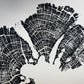 Old Growth Juniper Tree Ring Print – Boulder, Utah (Grand Staircase) – 18x24 Original Signed lintonart