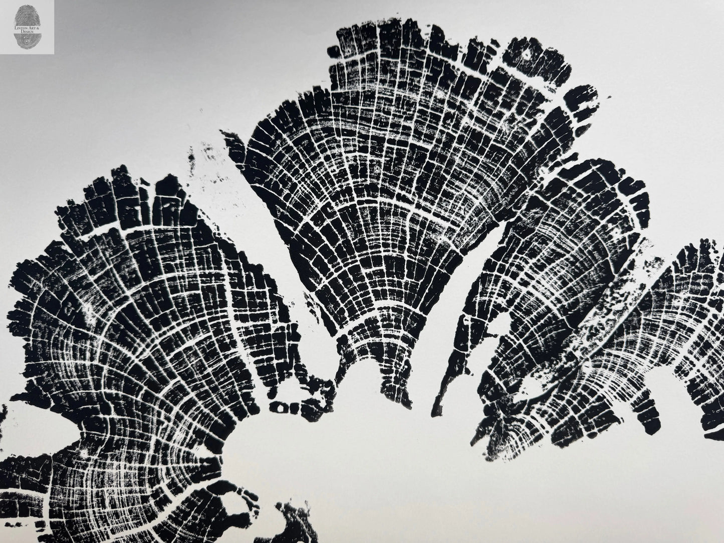 Old Growth Juniper Tree Ring Print – Boulder, Utah (Grand Staircase) – 18x24 Original Signed lintonart
