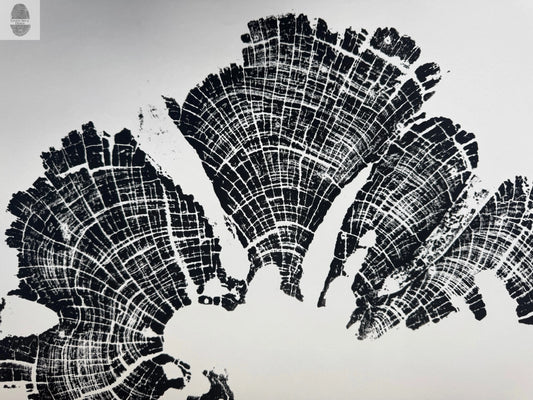 Old Growth Juniper Tree Ring Print – Boulder, Utah (Grand Staircase) – 18x24 Original Signed lintonart