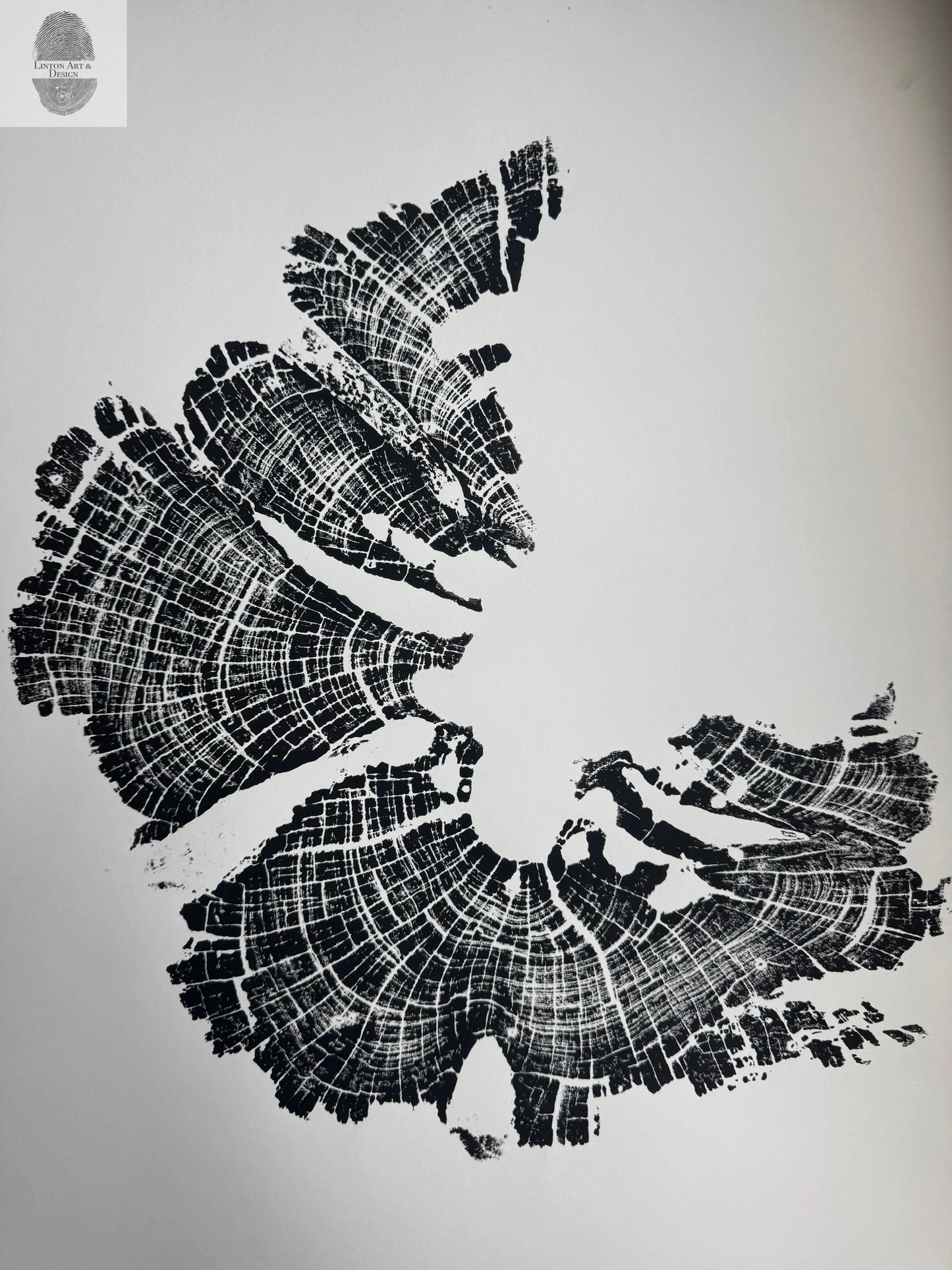 Old Growth Juniper Tree Ring Print – Boulder, Utah (Grand Staircase) – 18x24 Original Signed lintonart