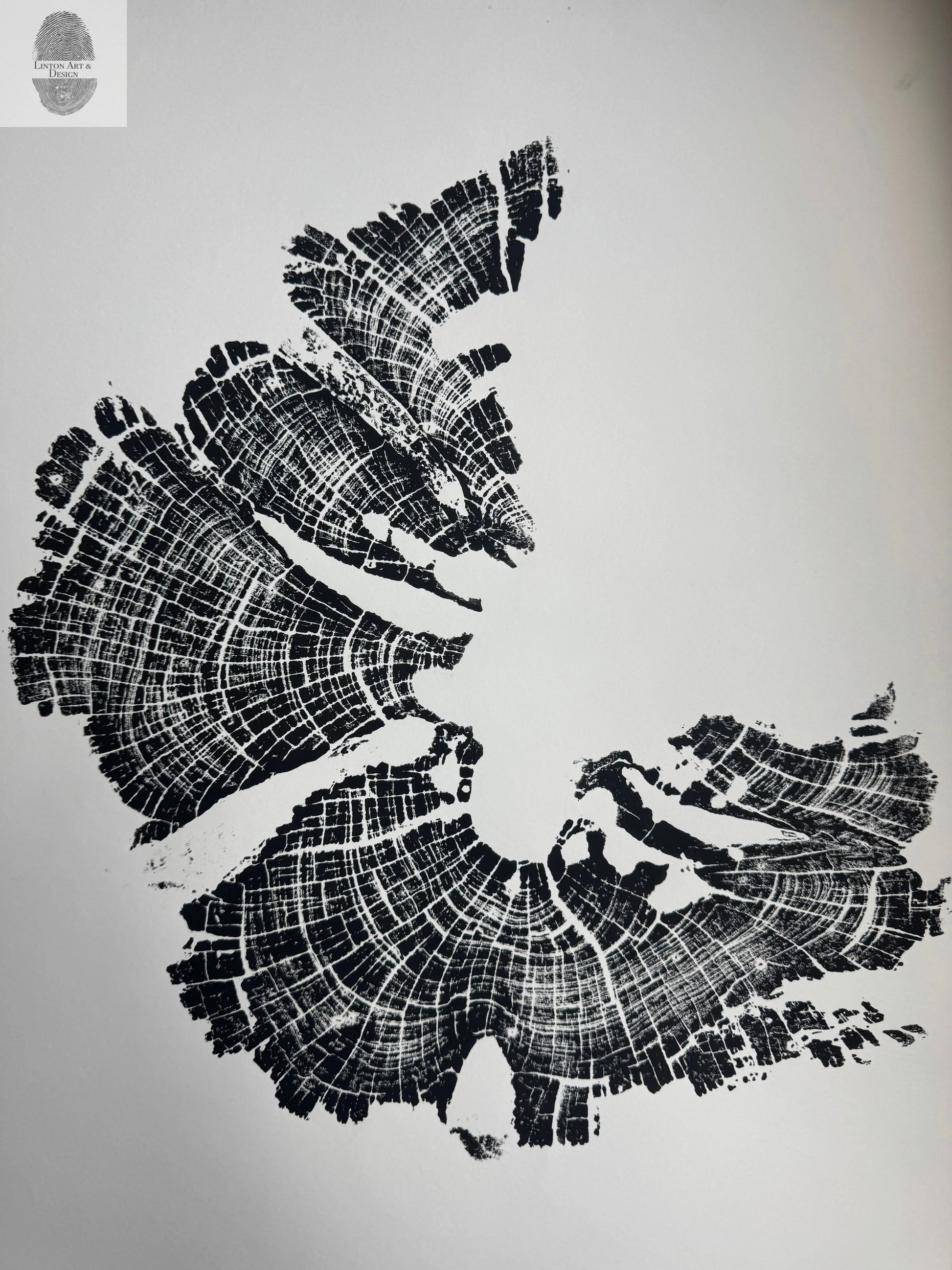 Old Growth Juniper Tree Ring Print – Boulder, Utah (Grand Staircase) – 18x24 Original Signed lintonart