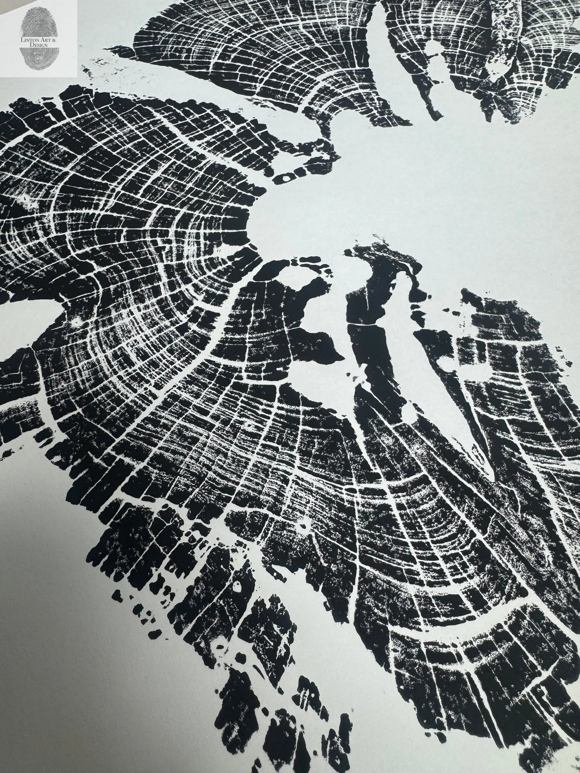 Old Growth Juniper Tree Ring Print – Boulder, Utah (Grand Staircase) – 18x24 Original Signed lintonart
