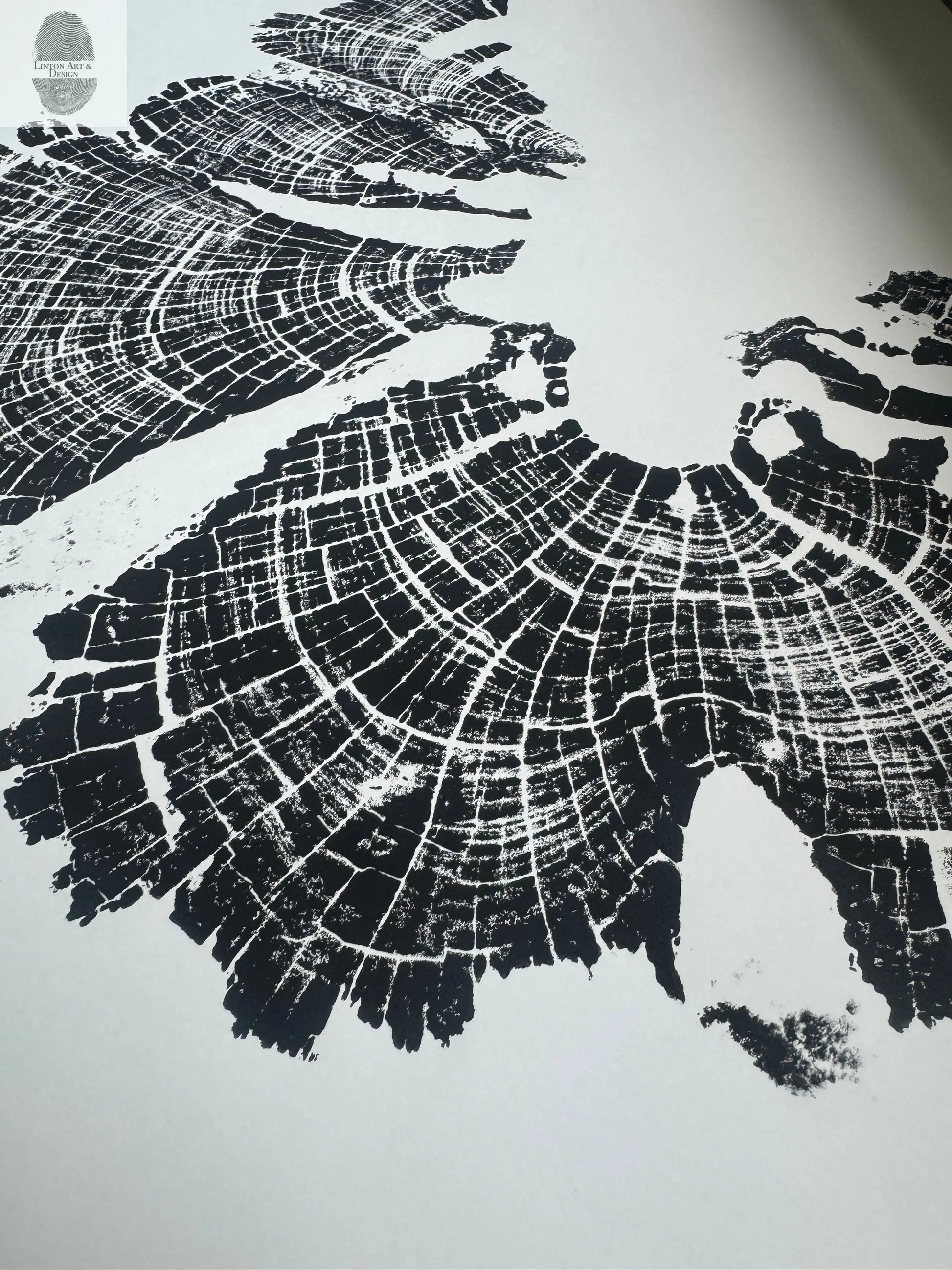 Old Growth Juniper Tree Ring Print – Boulder, Utah (Grand Staircase) – 18x24 Original Signed lintonart