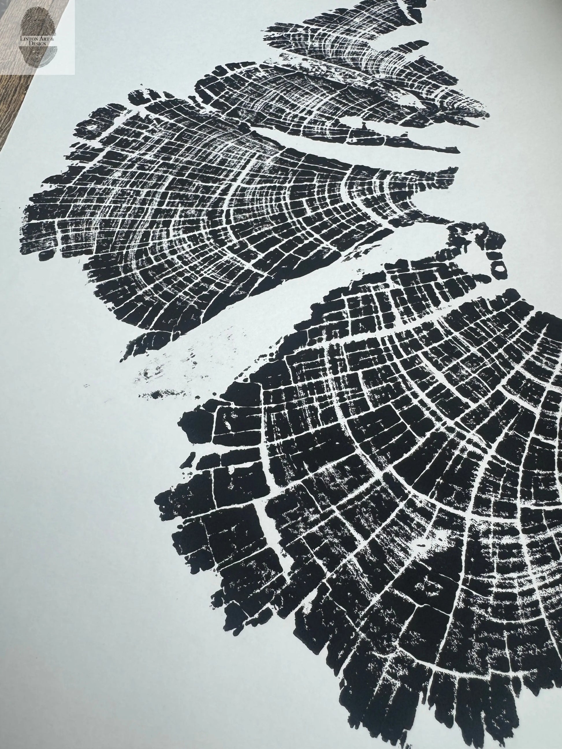Old Growth Juniper Tree Ring Print – Boulder, Utah (Grand Staircase) – 18x24 Original Signed lintonart