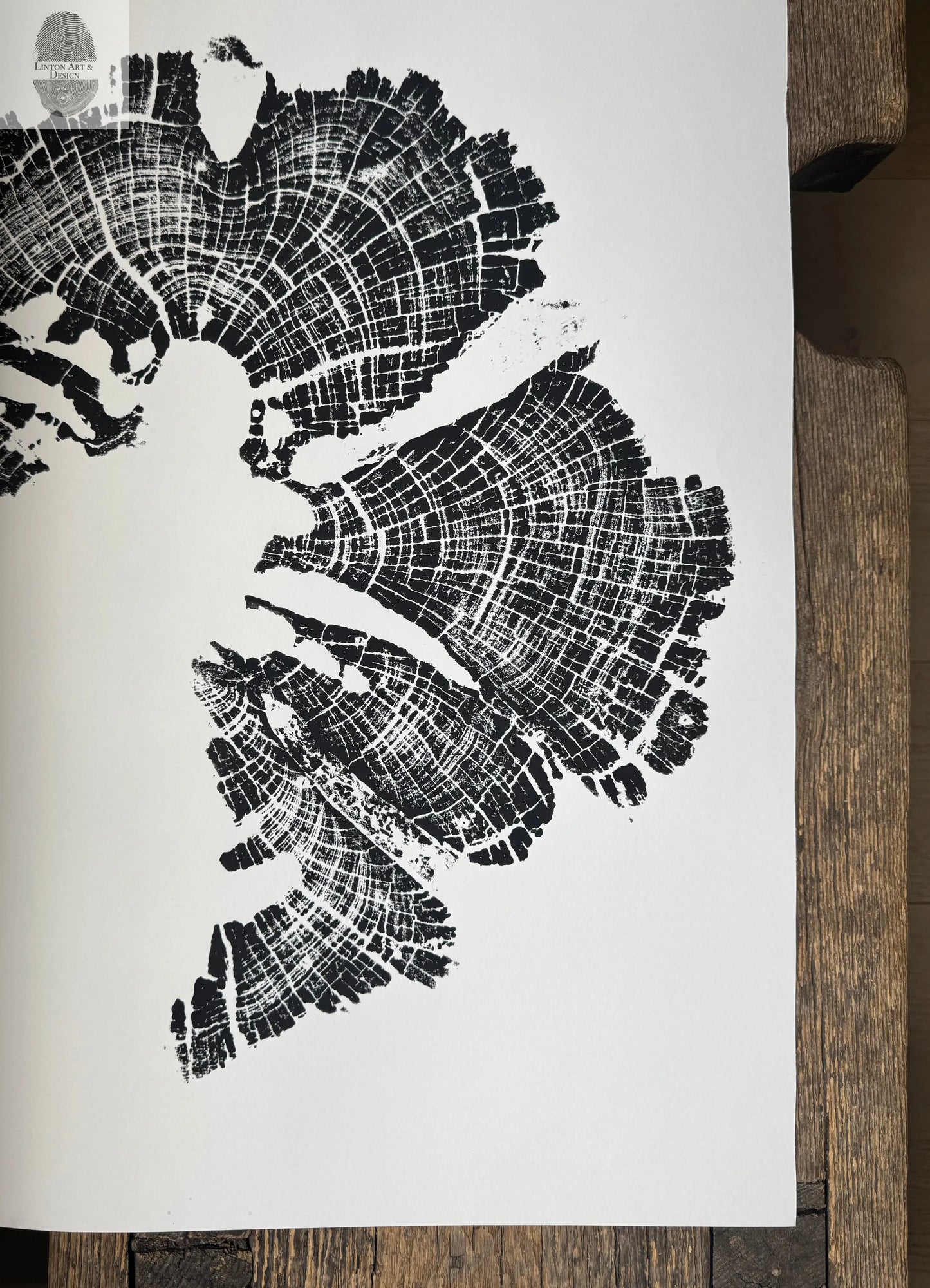 Old Growth Juniper Tree Ring Print – Boulder, Utah (Grand Staircase) – 18x24 Original Signed lintonart