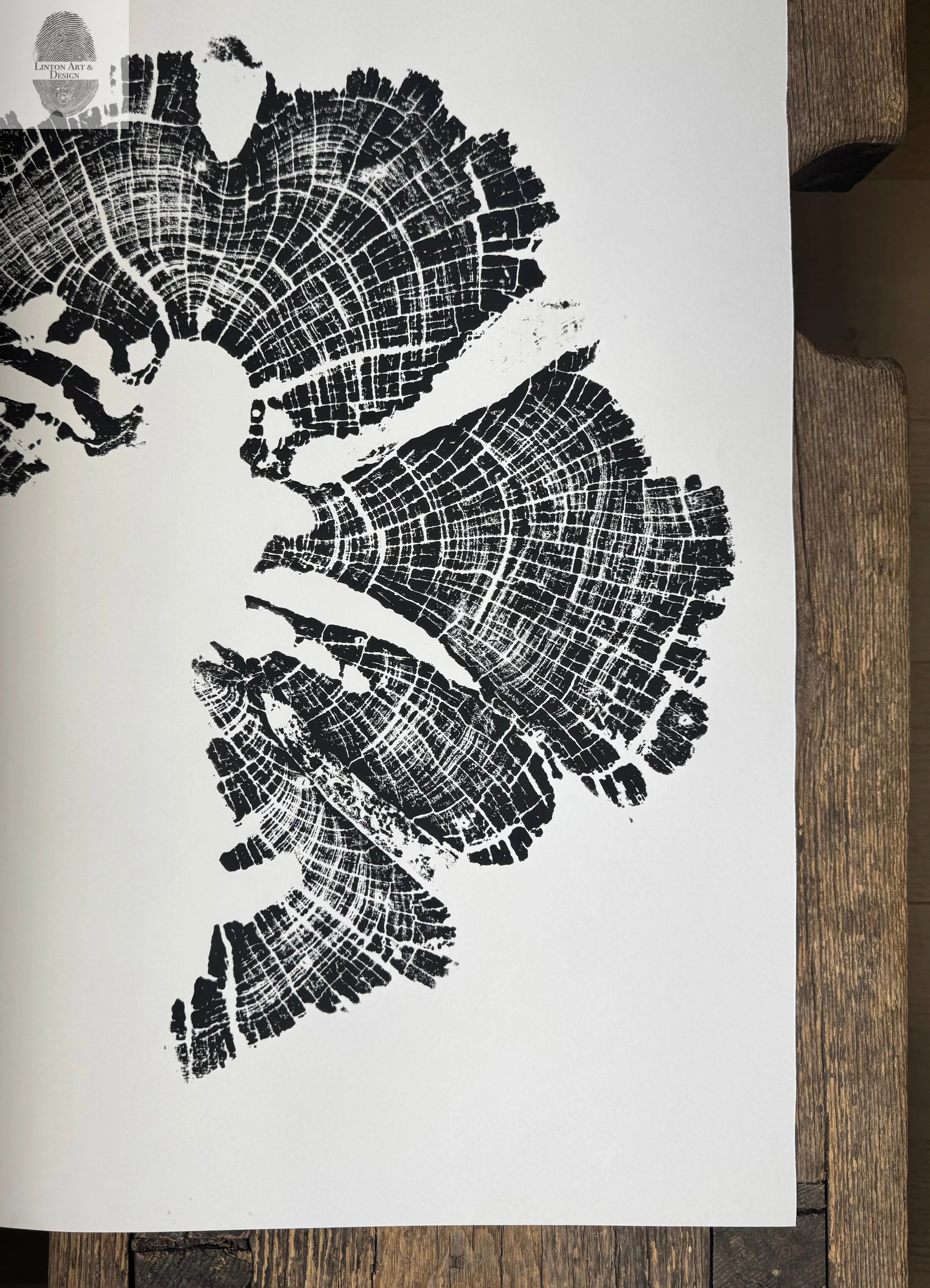 Old Growth Juniper Tree Ring Print – Boulder, Utah (Grand Staircase) – 18x24 Original Signed lintonart