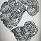 Old Growth Juniper Tree Ring Print – Boulder, Utah (Grand Staircase) – 24x36 Original Signed lintonart