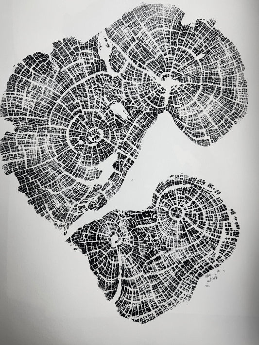 Old Growth Juniper Tree Ring Print – Boulder, Utah (Grand Staircase) – 24x36 Original Signed lintonart