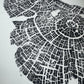 Old Growth Juniper Tree Ring Print – Boulder, Utah (Grand Staircase) – 24x36 Original Signed lintonart