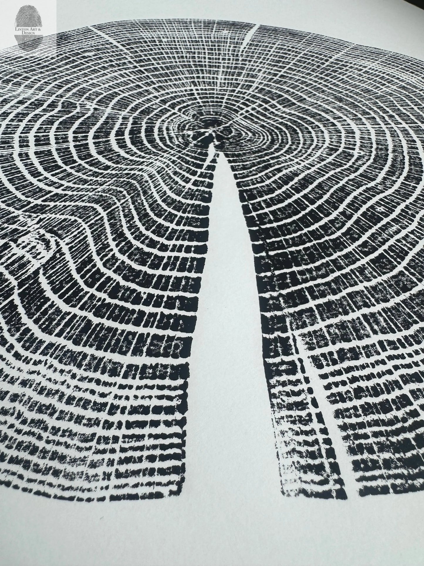 Red Oak Tree Ring Print – Spartanburg County, SC – 18x24 Original Signed Woodcut lintonart