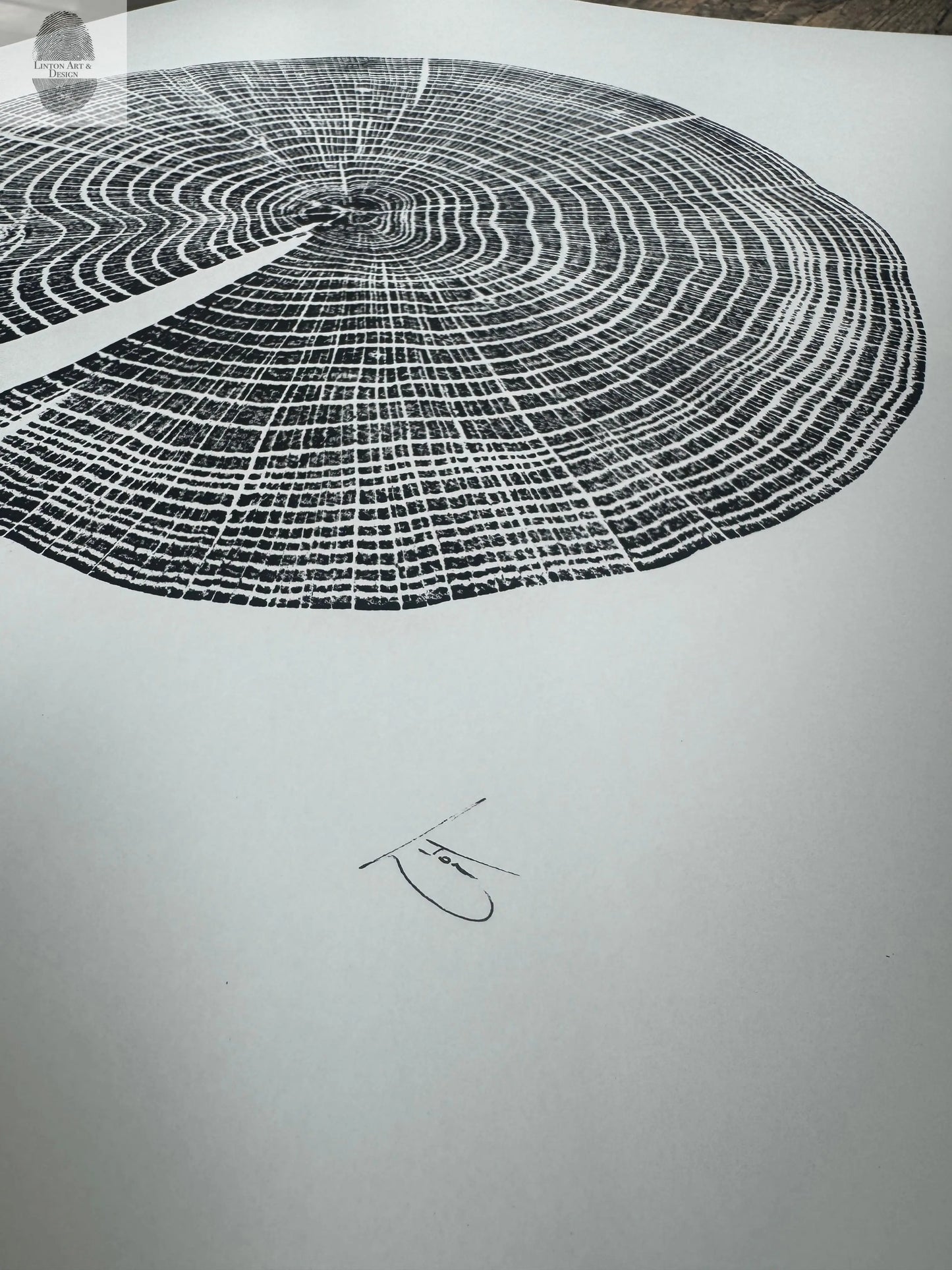 Red Oak Tree Ring Print – Spartanburg County, SC – 18x24 Original Signed Woodcut lintonart