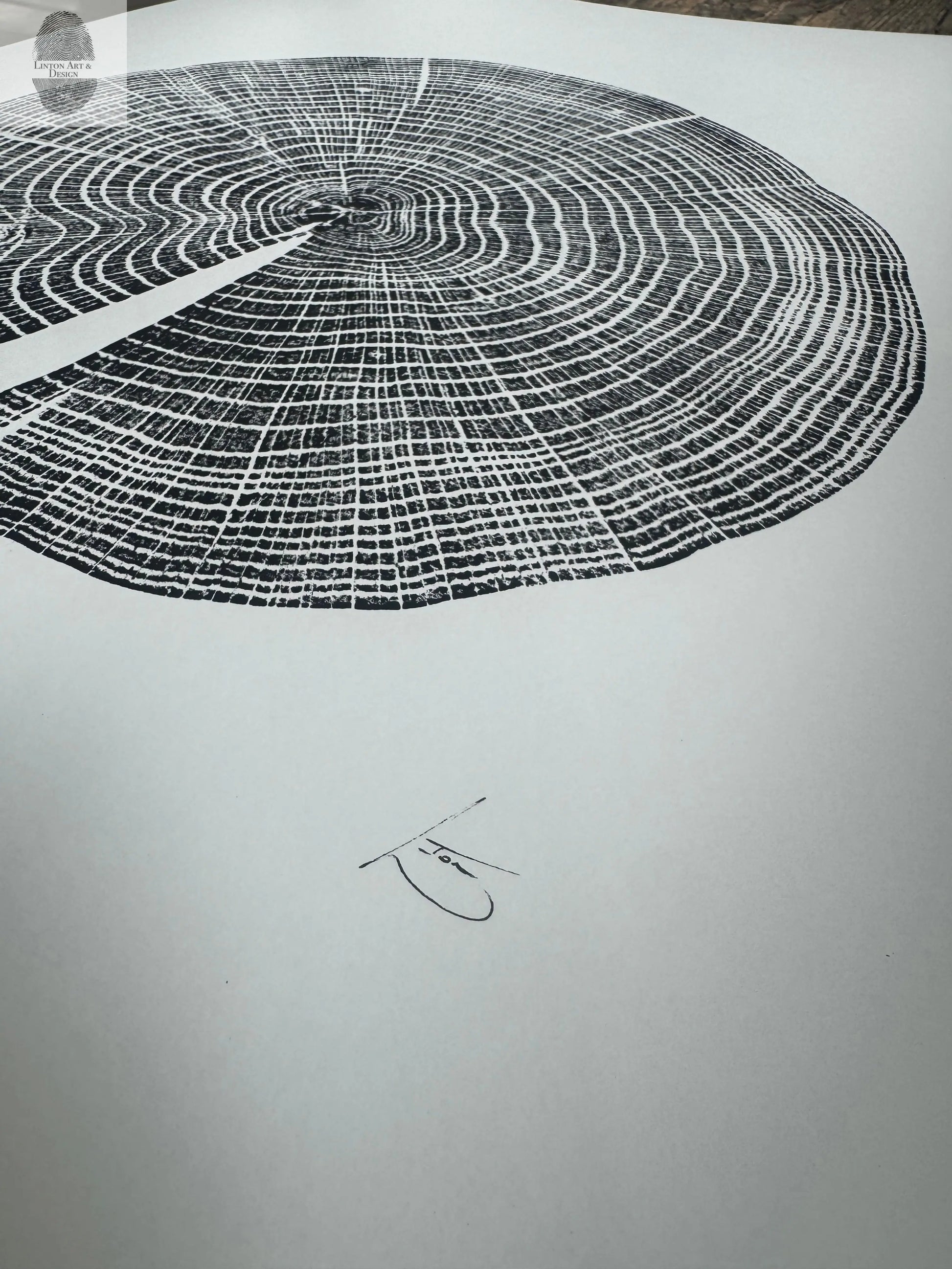 Red Oak Tree Ring Print – Spartanburg County, SC – 18x24 Original Signed Woodcut lintonart