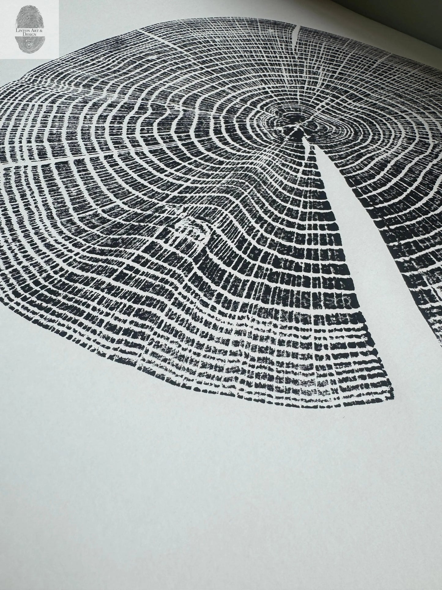 Red Oak Tree Ring Print – Spartanburg County, SC – 18x24 Original Signed Woodcut lintonart