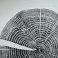 Red Oak Tree Ring Print – Spartanburg County, SC – 18x24 Original Signed Woodcut lintonart