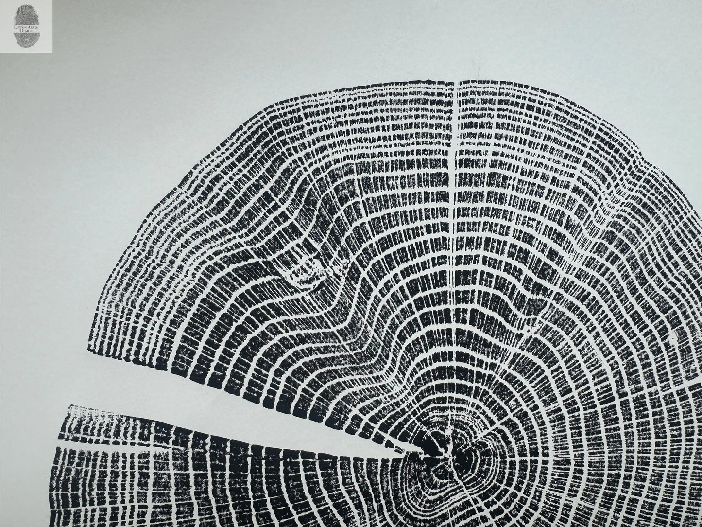 Red Oak Tree Ring Print – Spartanburg County, SC – 18x24 Original Signed Woodcut lintonart
