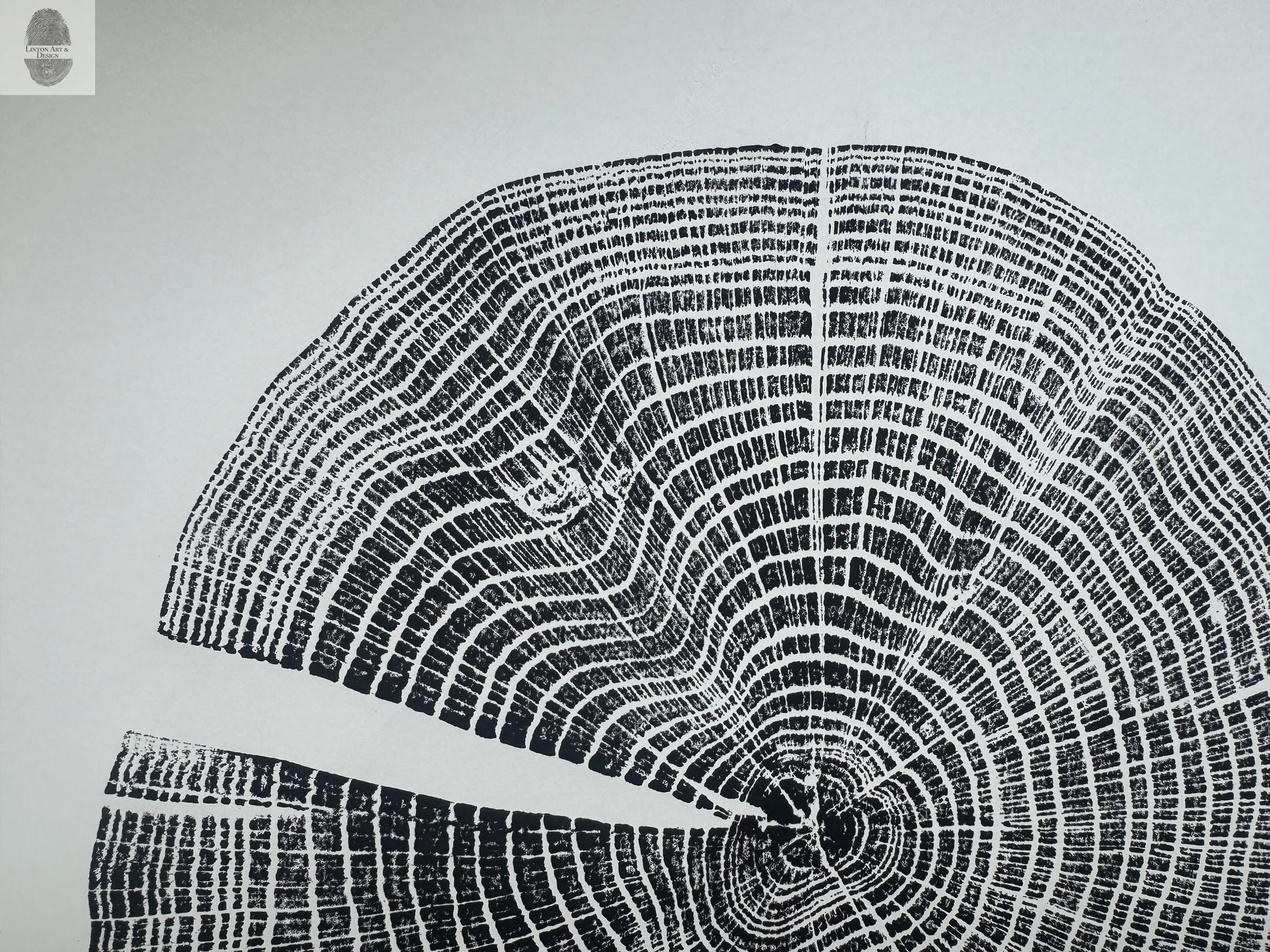 Red Oak Tree Ring Print – Spartanburg County, SC – 18x24 Original Signed Woodcut lintonart