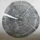 Red Oak Tree Ring Print – Spartanburg County, SC – 18x24 Original Signed Woodcut lintonart