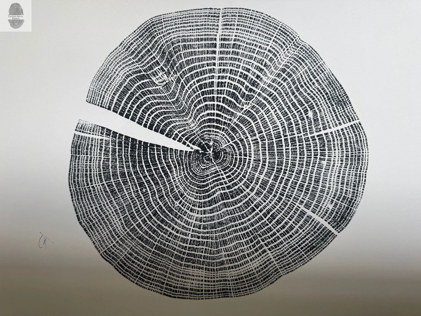 Red Oak Tree Ring Print – Spartanburg County, SC – 18x24 Original Signed Woodcut lintonart