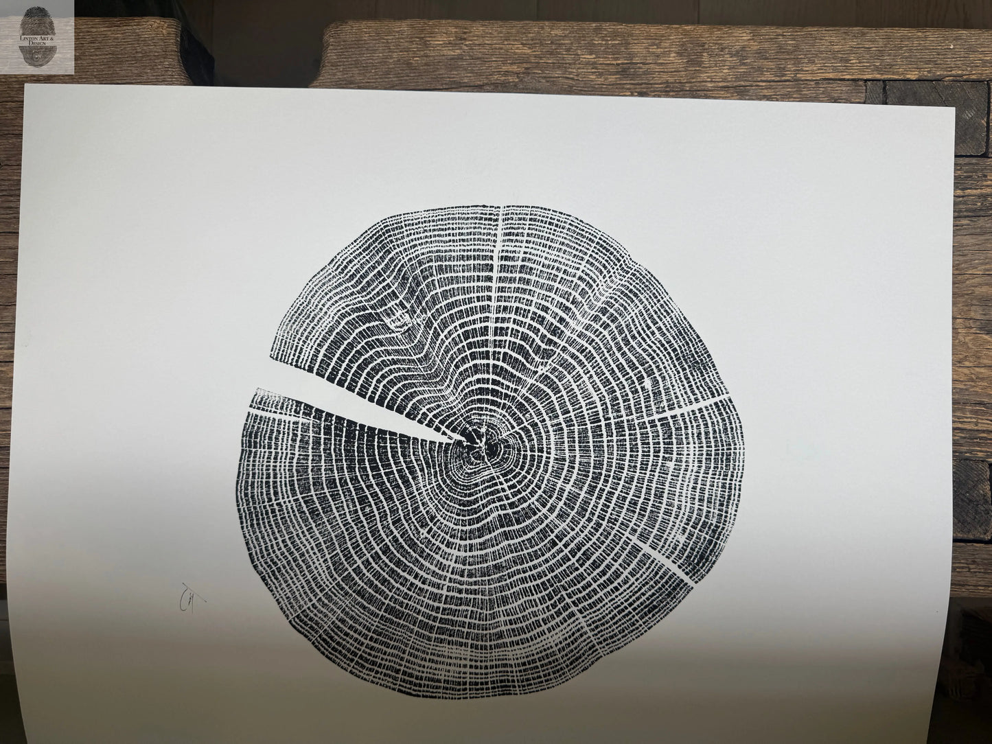 Red Oak Tree Ring Print – Spartanburg County, SC – 18x24 Original Signed Woodcut lintonart