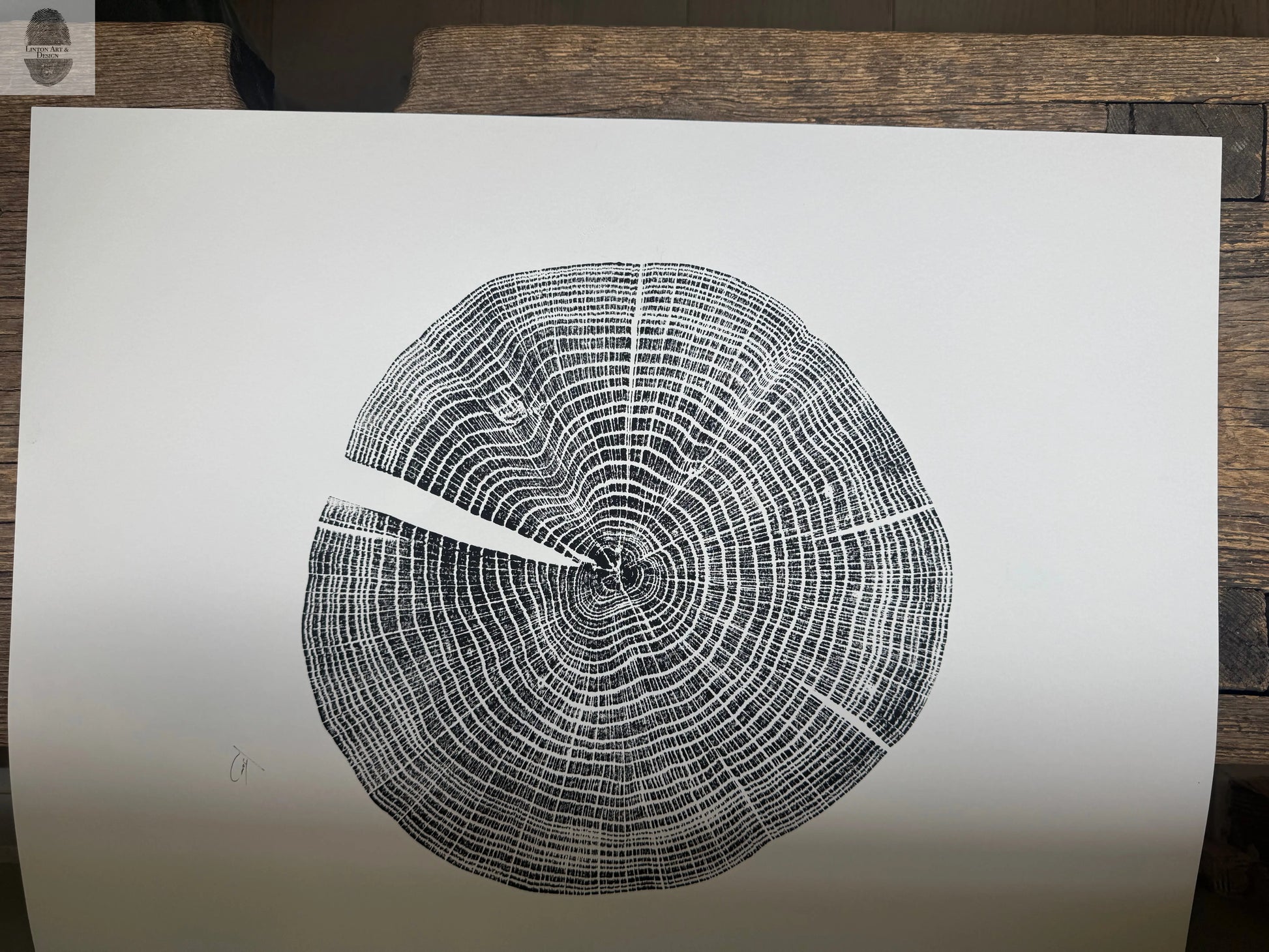 Red Oak Tree Ring Print – Spartanburg County, SC – 18x24 Original Signed Woodcut lintonart