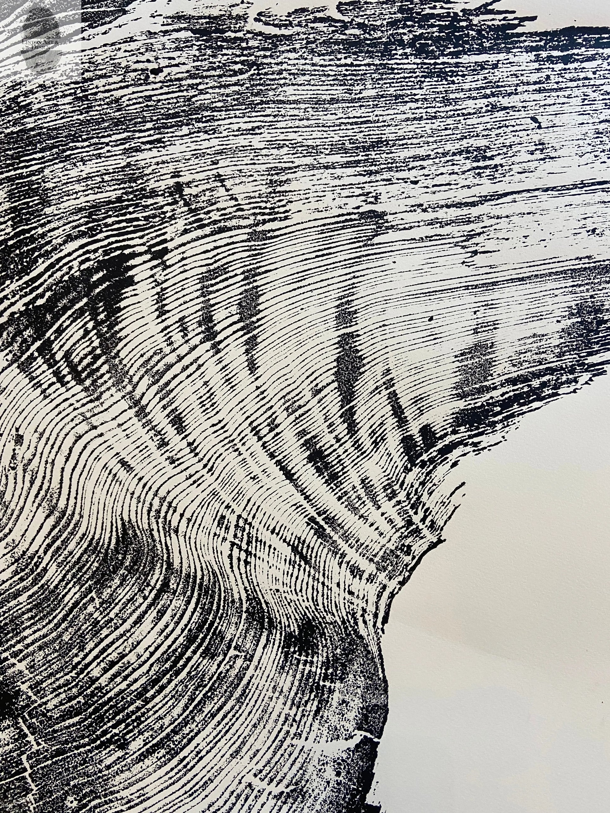Redwood Tree, Tree Ring Print, California Coast, Wood Slice Wall Art, Huge Wall Art, Natural Wood Slices 52”x72” lintonart