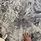 Redwood Tree, Tree Ring Print, California Coast, Wood Slice Wall Art, Huge Wall Art, Natural Wood Slices 52”x72” lintonart