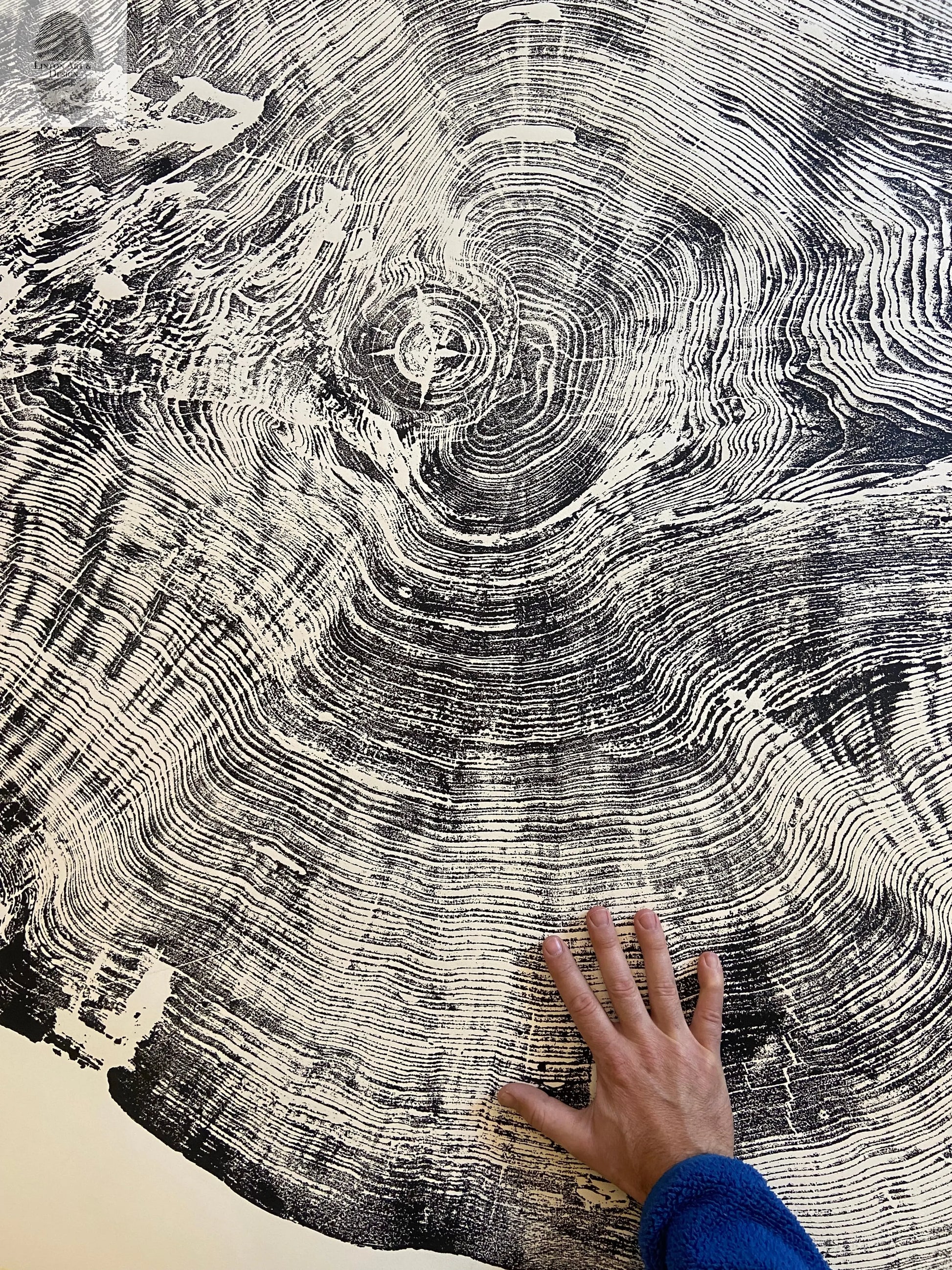 Redwood Tree, Tree Ring Print, California Coast, Wood Slice Wall Art, Huge Wall Art, Natural Wood Slices 52”x72” lintonart
